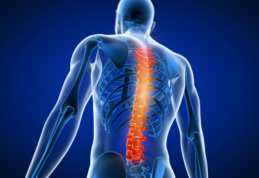 bolečine v hrbtenici